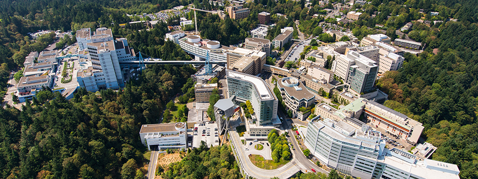 School of Nursing Tuition and Scholarships | OHSU